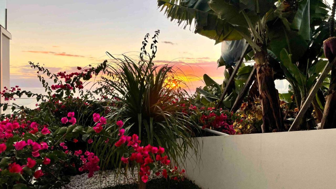 Holiday Apartment Sunset Ocean Ribeira Brava Exteriör bild